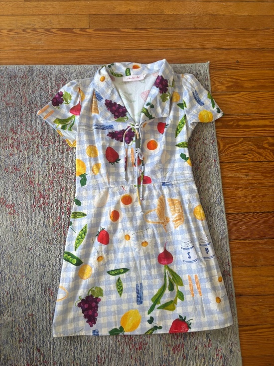 Lisa Says Gah Dresses & Skirts - Lisa Says Gah Picnic Dress Size: M